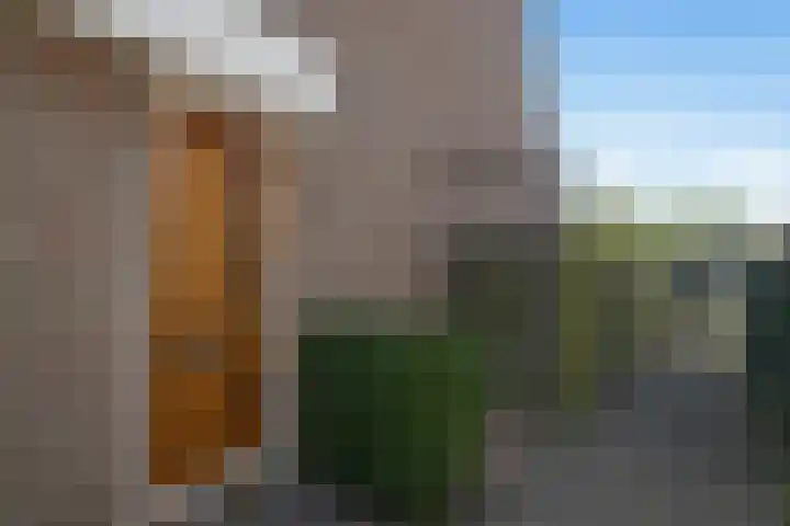 Stuurboord 30 Rijsenhout thumbnail 5