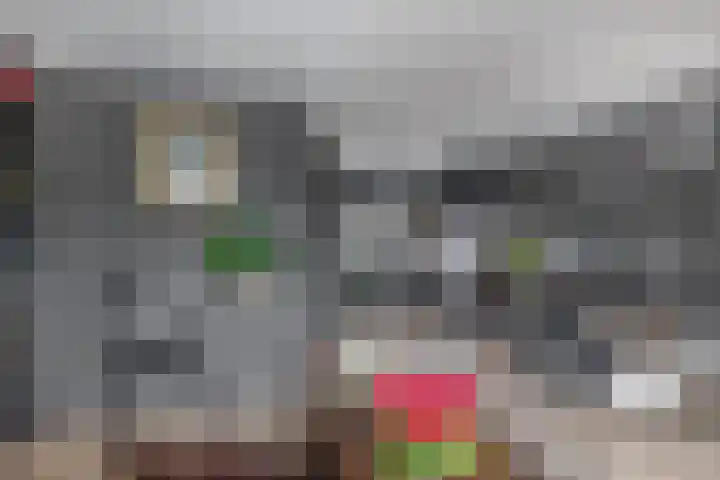 Stuurboord 30 Rozenburg thumbnail 14