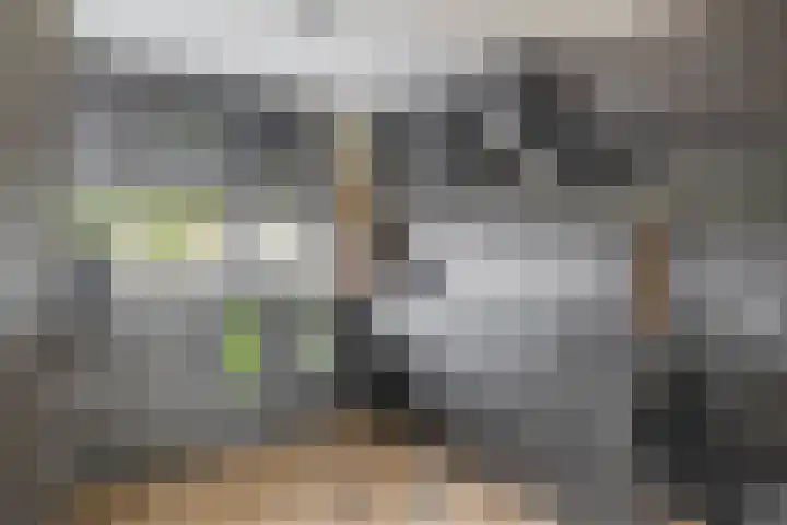 Stuurboord 30 Rozenburg thumbnail 20