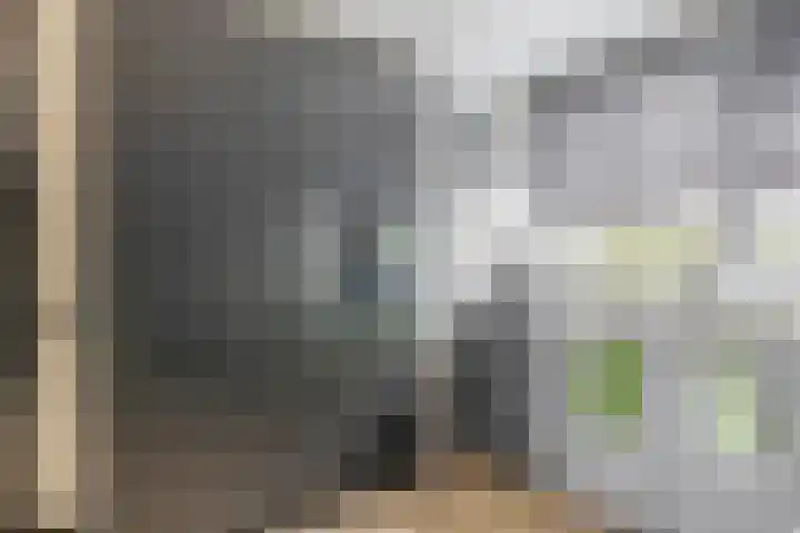Stuurboord 30 Rozenburg thumbnail 22
