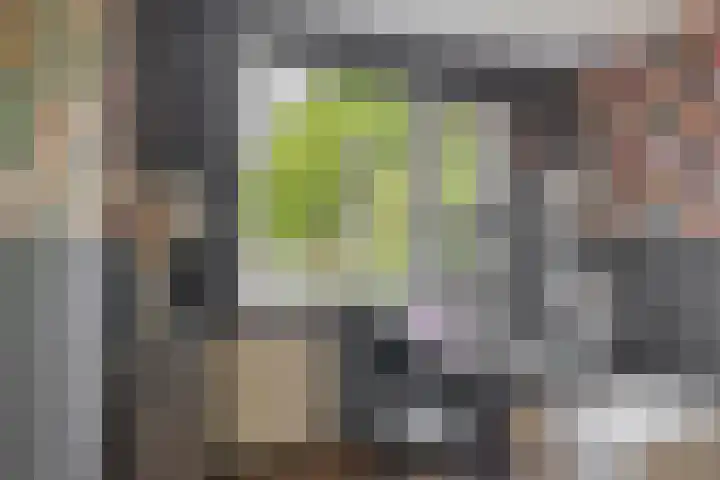 Stuurboord 30 Rozenburg thumbnail 27