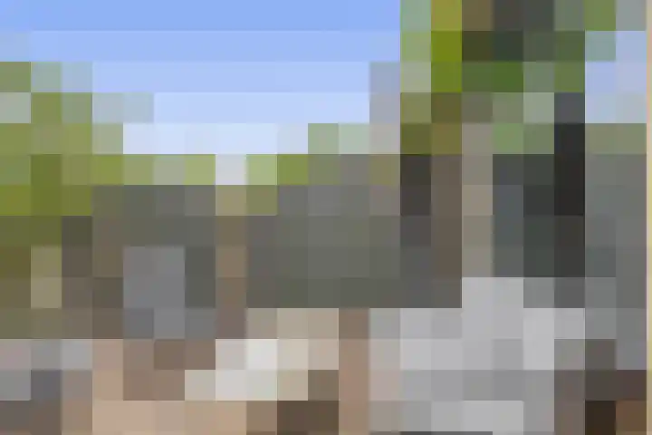 Stuurboord 30 Rozenburg thumbnail 30