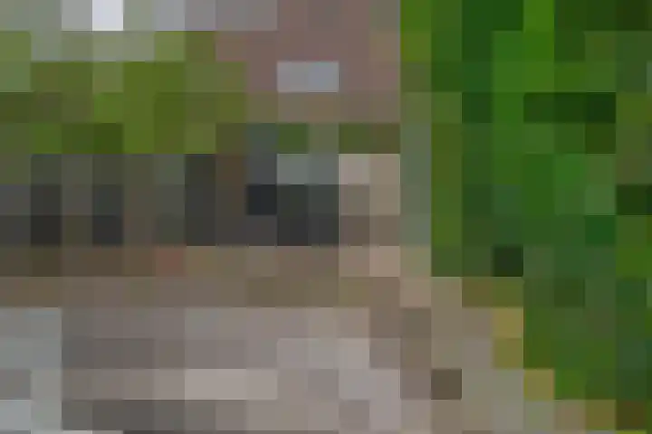 Stuurboord 30 Rozenburg thumbnail 39