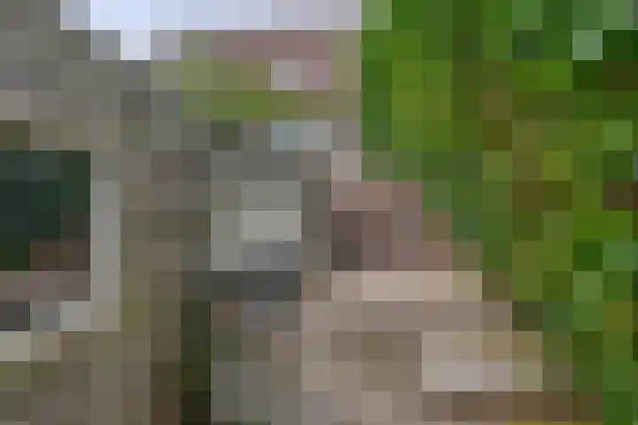Stuurboord 30 Rozenburg thumbnail 40