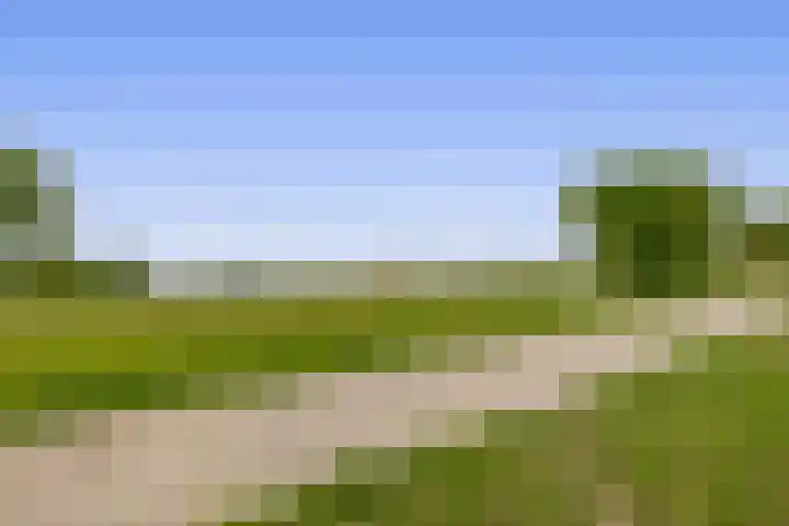 Stuurboord 30 Rozenburg thumbnail 43