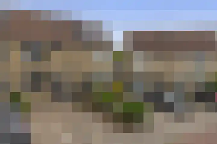 Stuurboord 30 Rozenburg thumbnail 6
