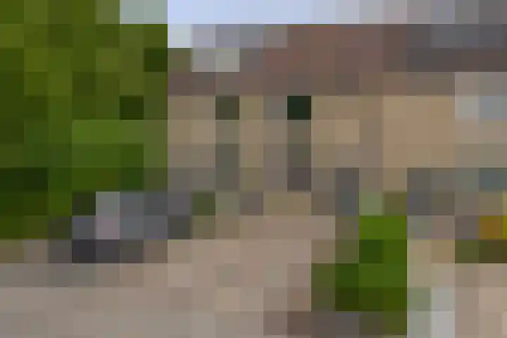 Stuurboord 30 Rozenburg thumbnail 7