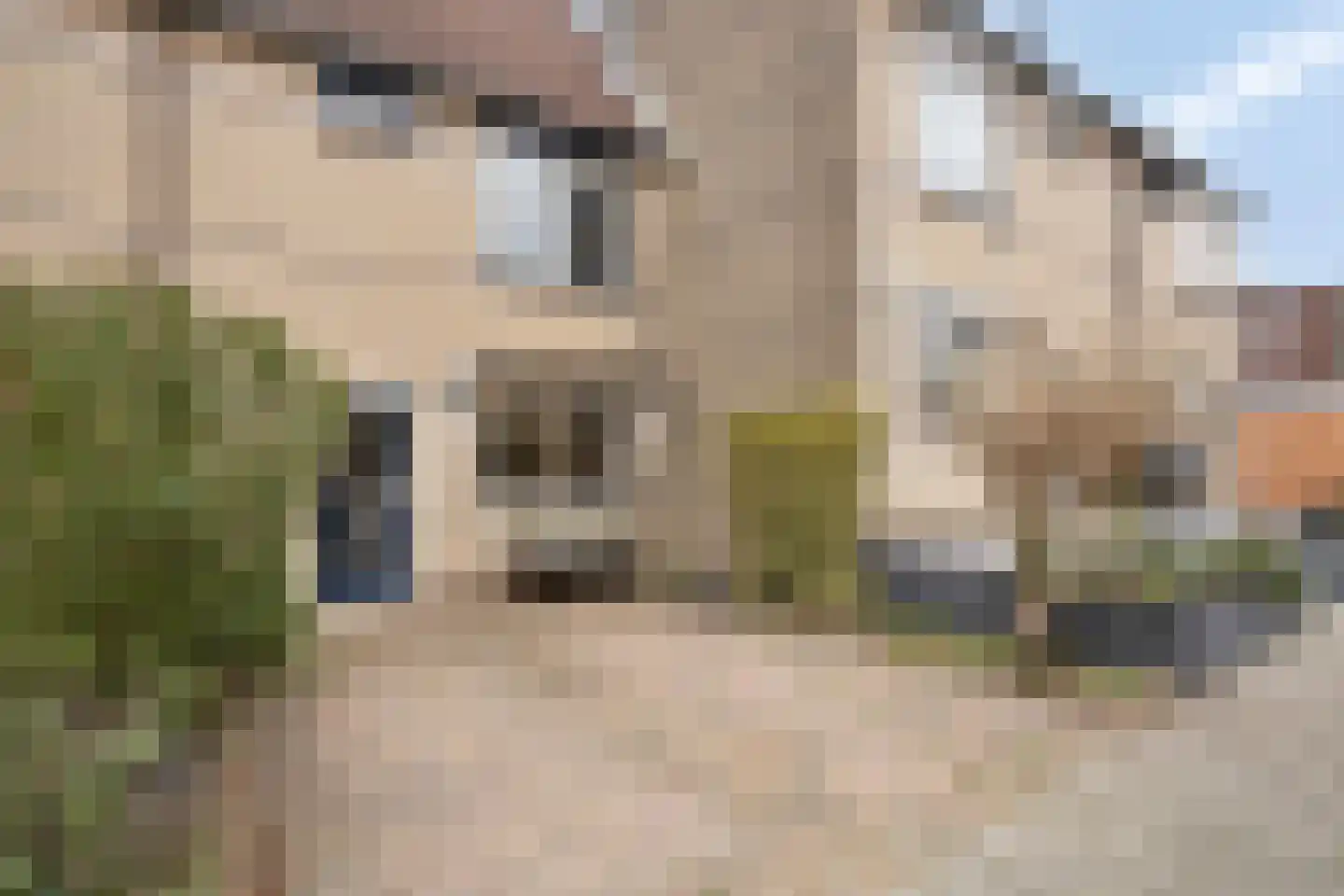 Stuurboord 33 Rozenburg thumbnail 6