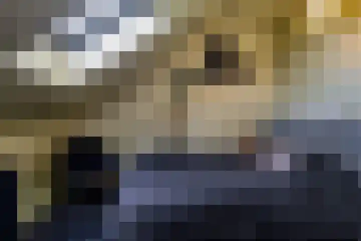 Stuurboord 57 Stadskanaal thumbnail 22