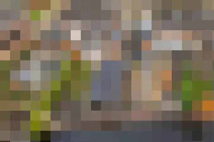 Stuurboord 57 Stadskanaal thumbnail 32