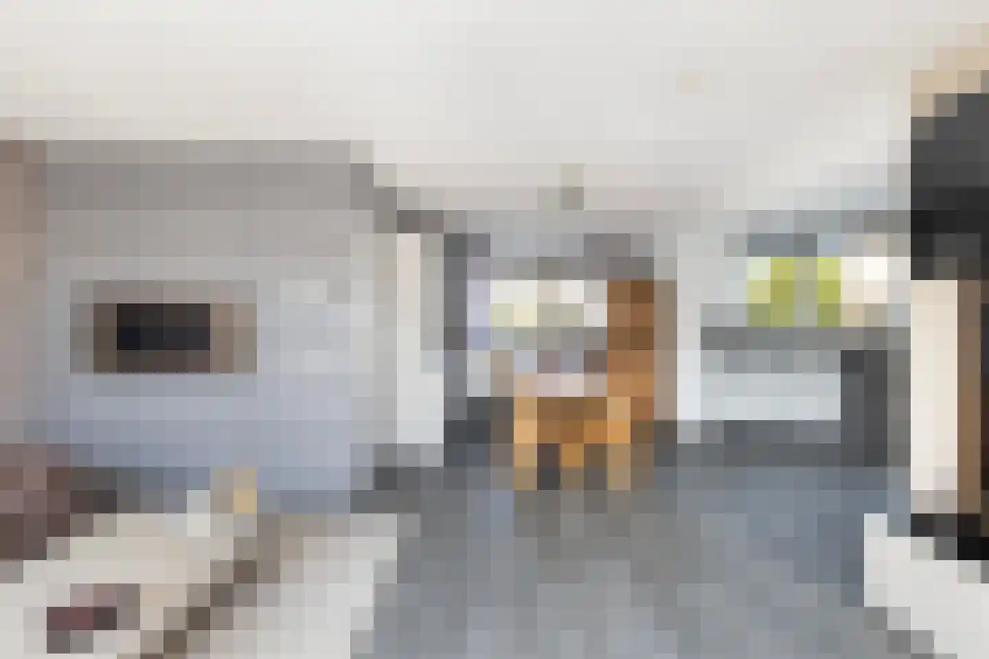 Stuurboord 6 Rozenburg thumbnail 13