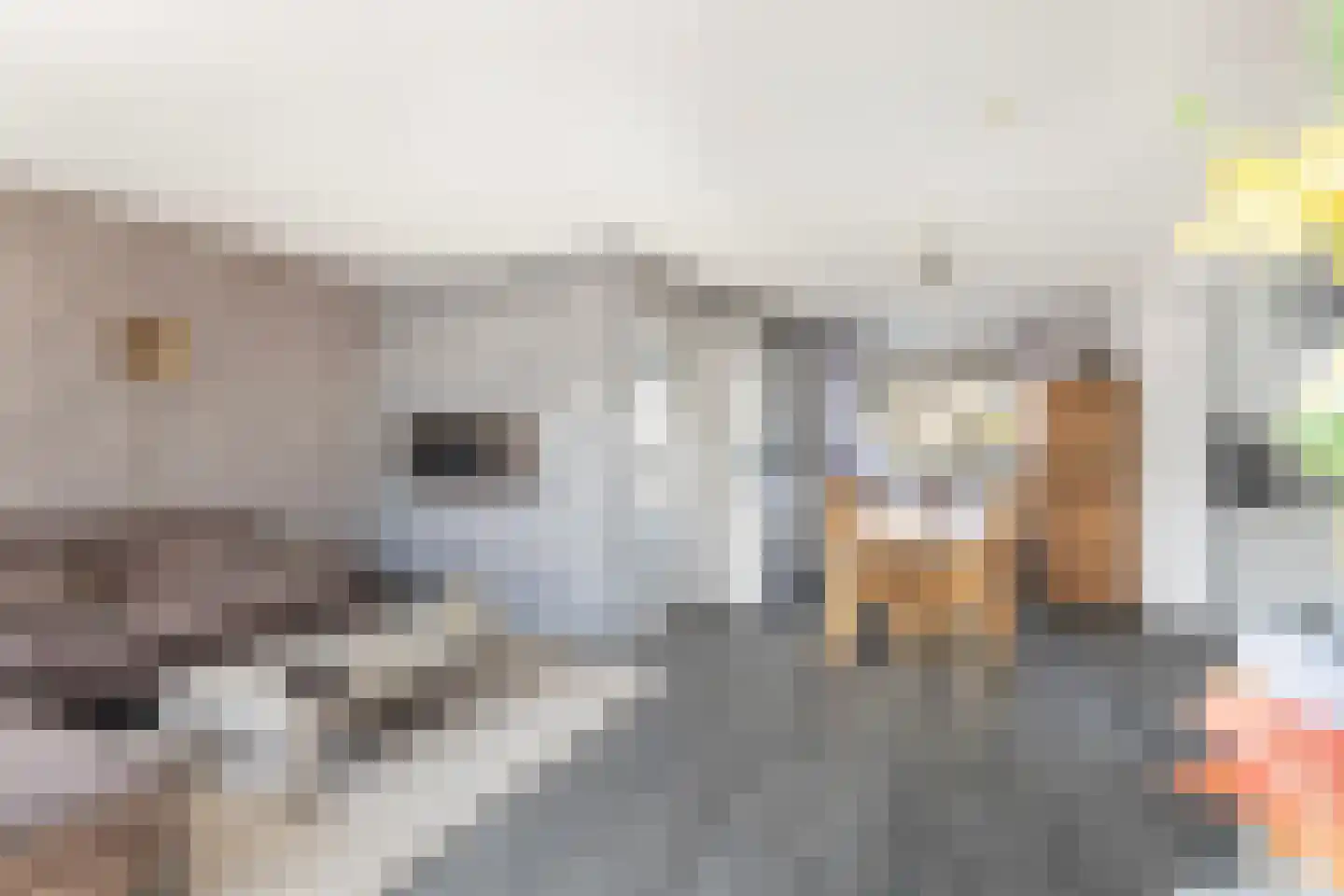 Stuurboord 6 Rozenburg thumbnail 14