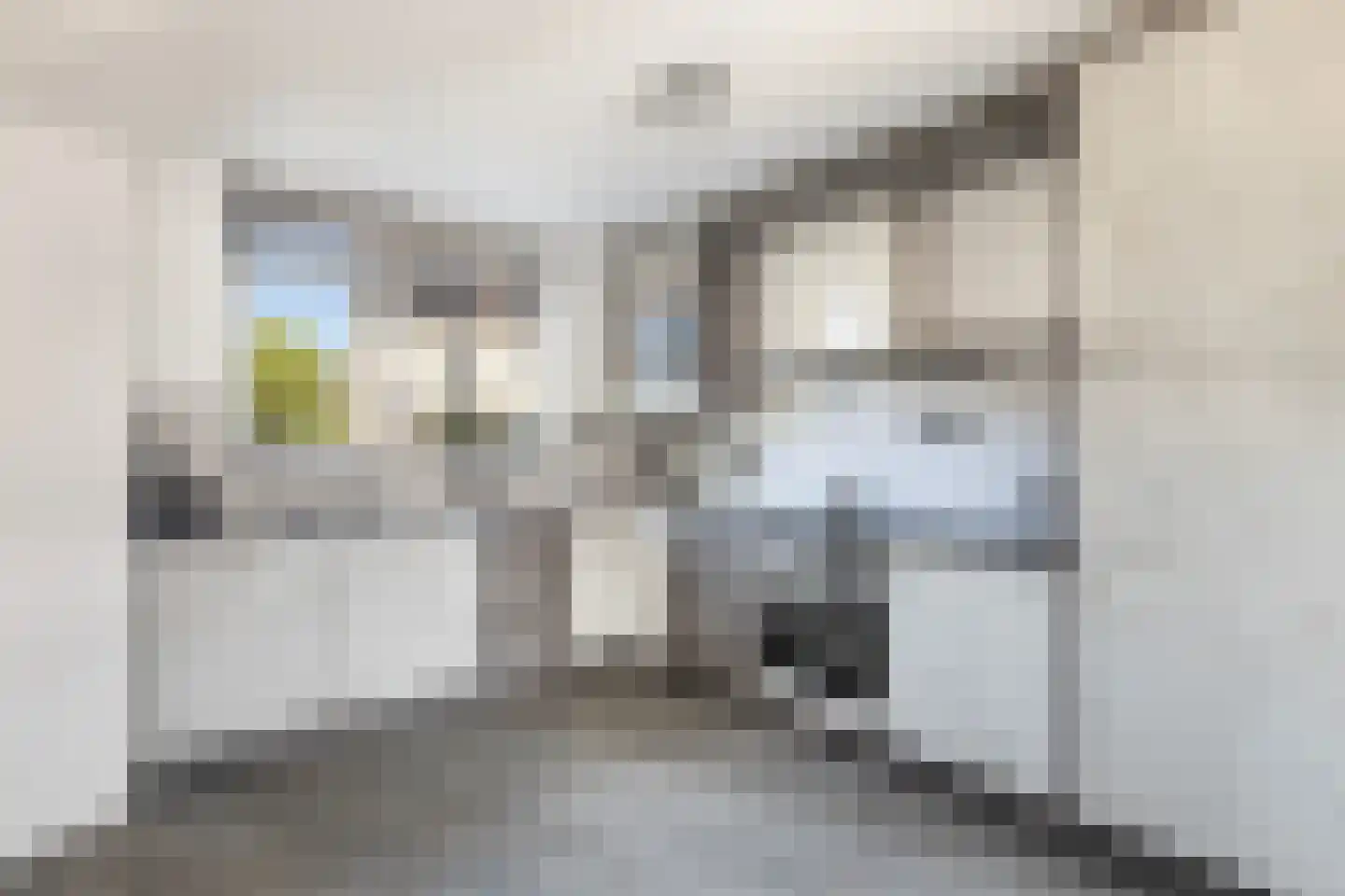 Stuurboord 6 Rozenburg thumbnail 17
