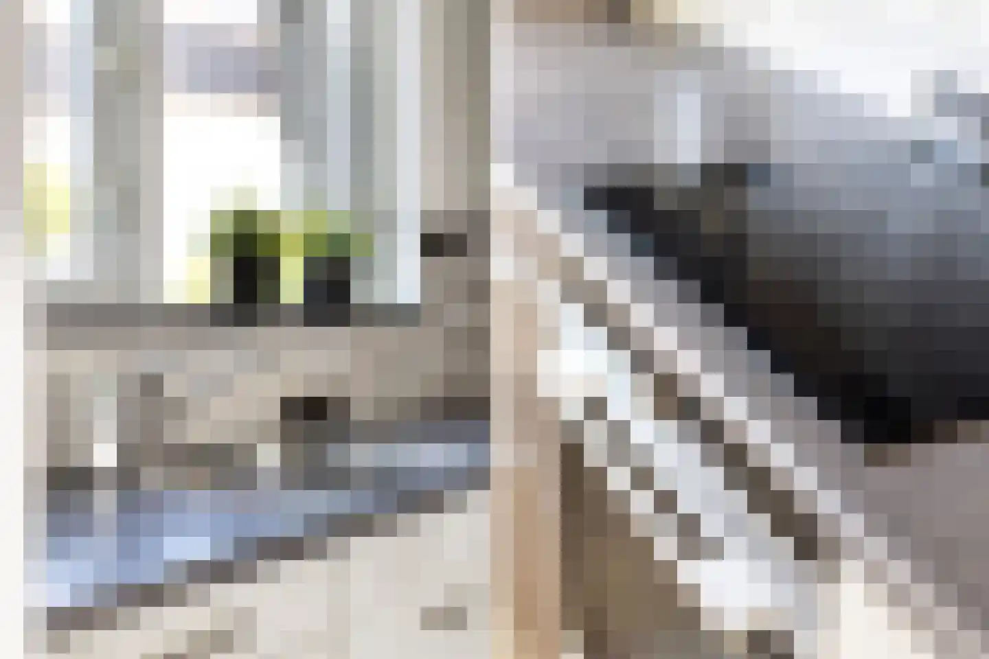 Stuurboord 6 Rozenburg thumbnail 19