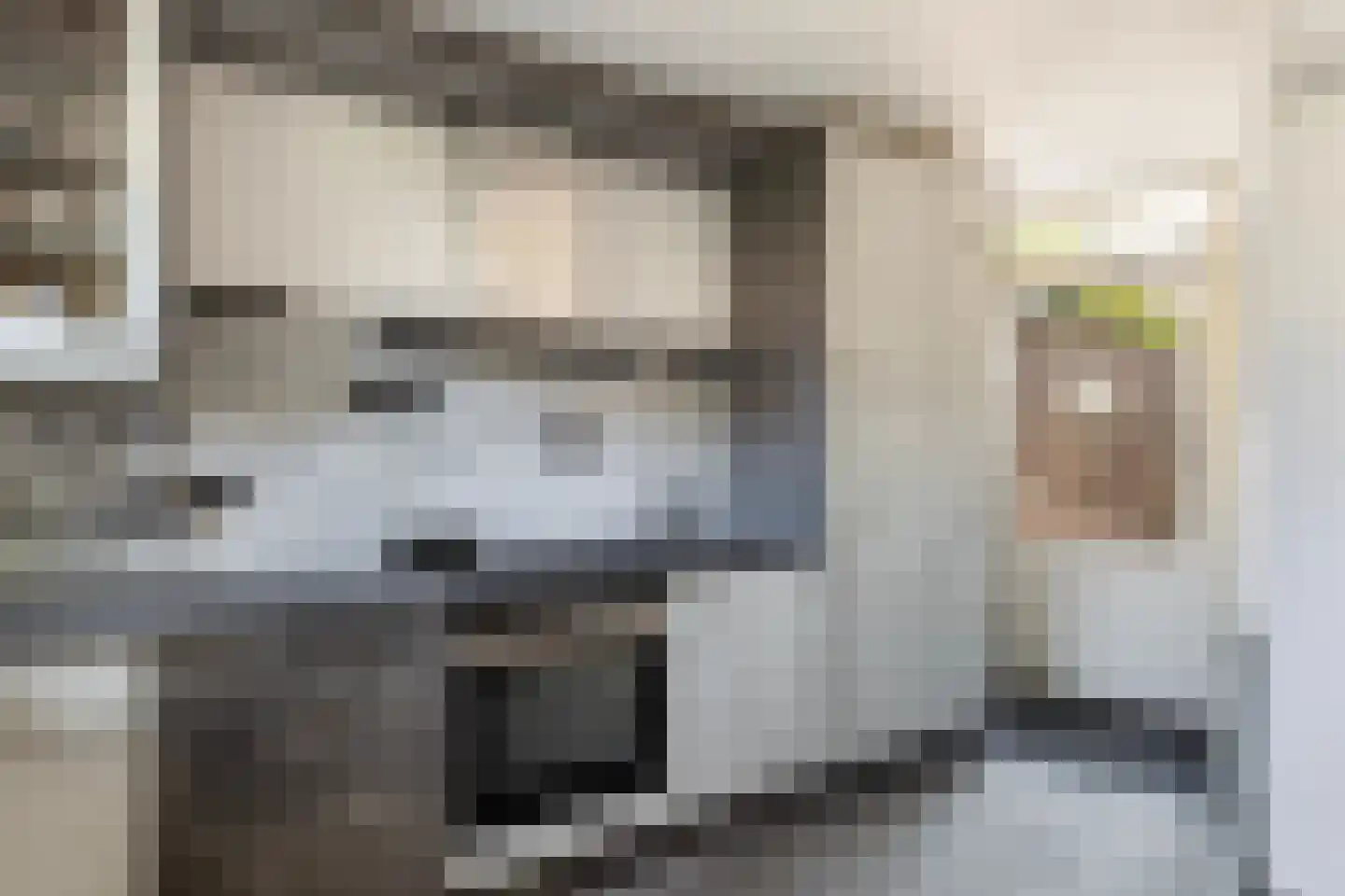 Stuurboord 6 Rozenburg thumbnail 20