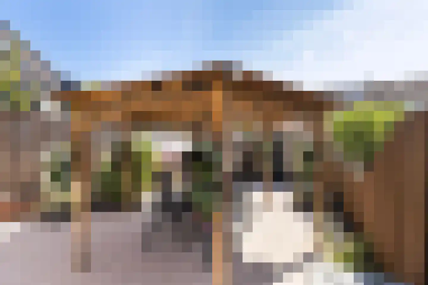 Stuurboord 6 Rozenburg thumbnail 21