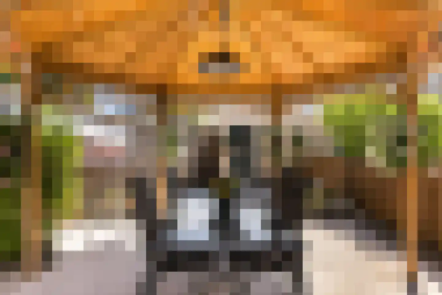 Stuurboord 6 Rozenburg thumbnail 22