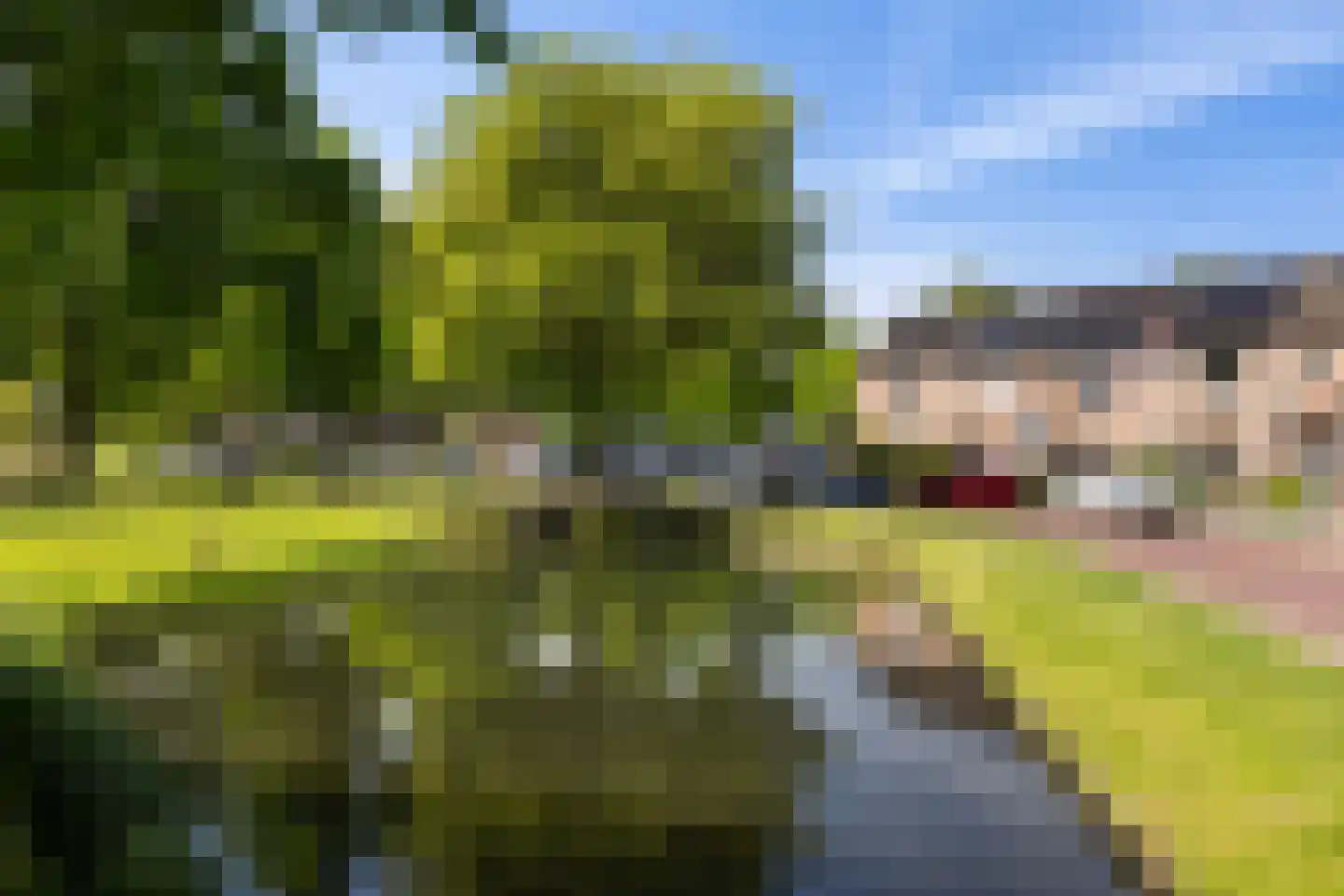 Stuurboord 6 Rozenburg thumbnail 41