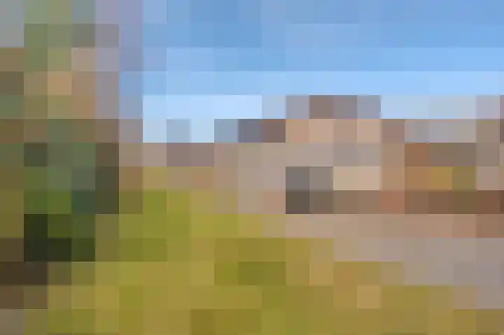 Stuurboord 67 Stadskanaal thumbnail 14
