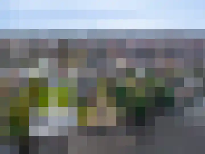 Stuurboord 67 Stadskanaal thumbnail 8