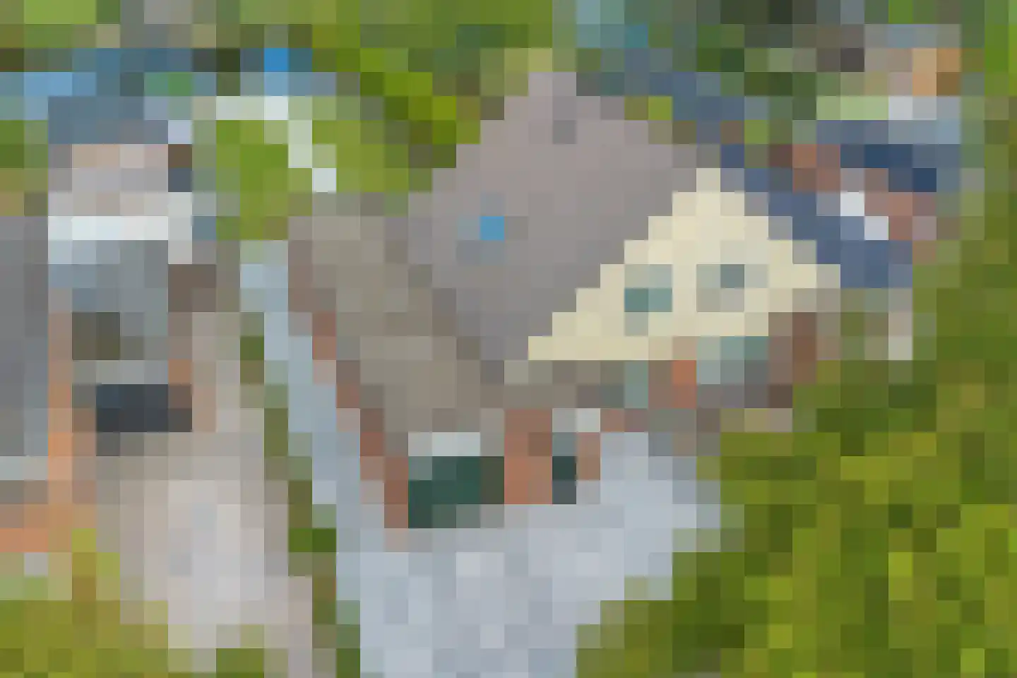 Stuurboord 69 Stadskanaal thumbnail 41