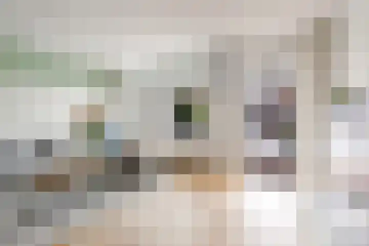 Stuurboord 7 Wijk bij Duurstede thumbnail 11