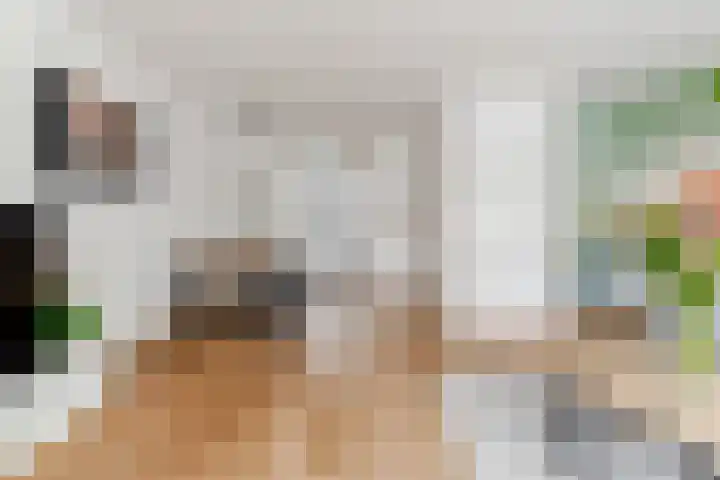 Stuurboord 7 Wijk bij Duurstede thumbnail 16