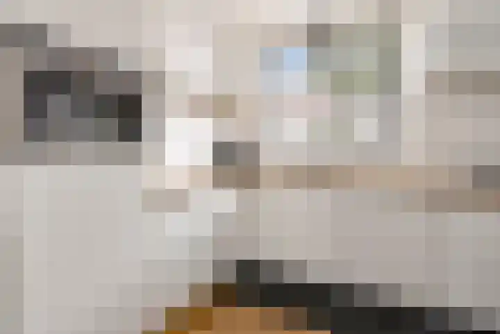 Stuurboord 7 Wijk bij Duurstede thumbnail 23