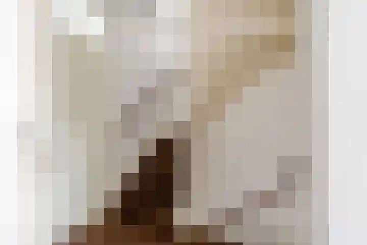 Stuurboord 7 Wijk bij Duurstede thumbnail 26