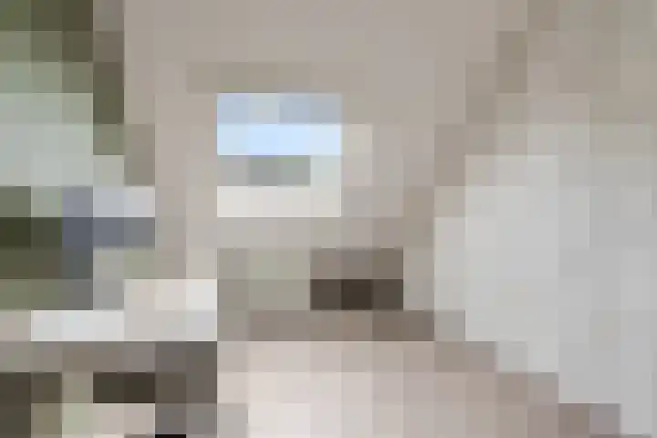 Stuurboord 7 Wijk bij Duurstede thumbnail 31