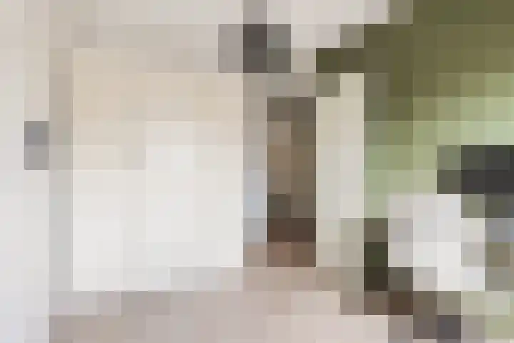 Stuurboord 7 Wijk bij Duurstede thumbnail 33