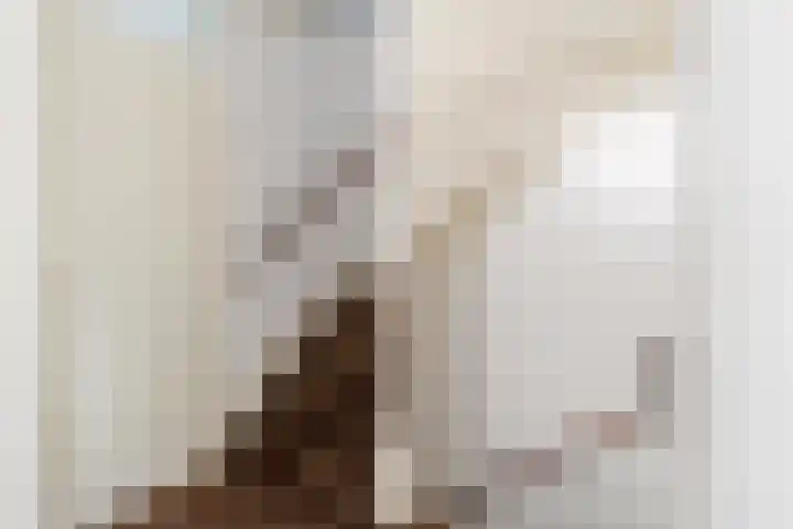 Stuurboord 7 Wijk bij Duurstede thumbnail 40
