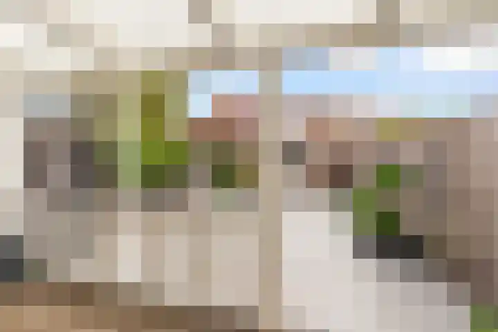 Stuurboord 7 Wijk bij Duurstede thumbnail 46