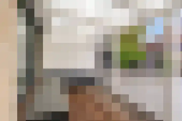Stuurboord 7 Wijk bij Duurstede thumbnail 49