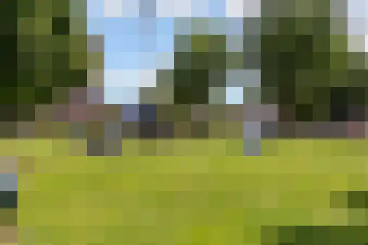 Stuurboord 7 Wijk bij Duurstede thumbnail 58