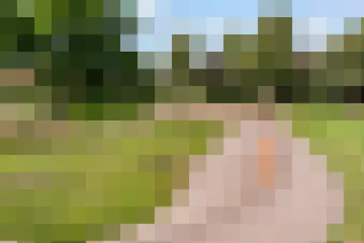 Stuurboord 7 Wijk bij Duurstede thumbnail 60