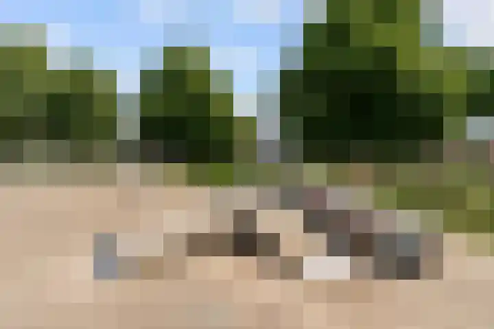 Stuurboord 7 Wijk bij Duurstede thumbnail 61