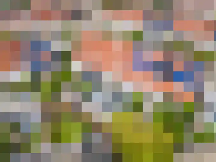 Stuurboord 7 Wijk bij Duurstede thumbnail 62