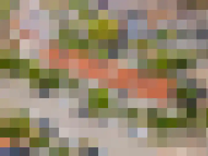 Stuurboord 7 Wijk bij Duurstede thumbnail 64