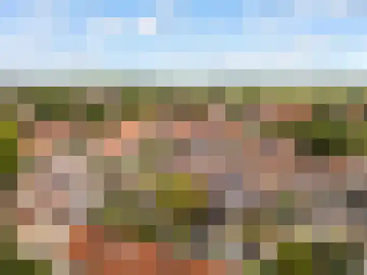 Stuurboord 7 Wijk bij Duurstede thumbnail 65
