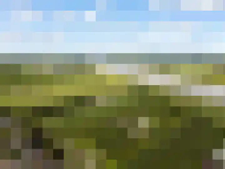 Stuurboord 7 Wijk bij Duurstede thumbnail 66