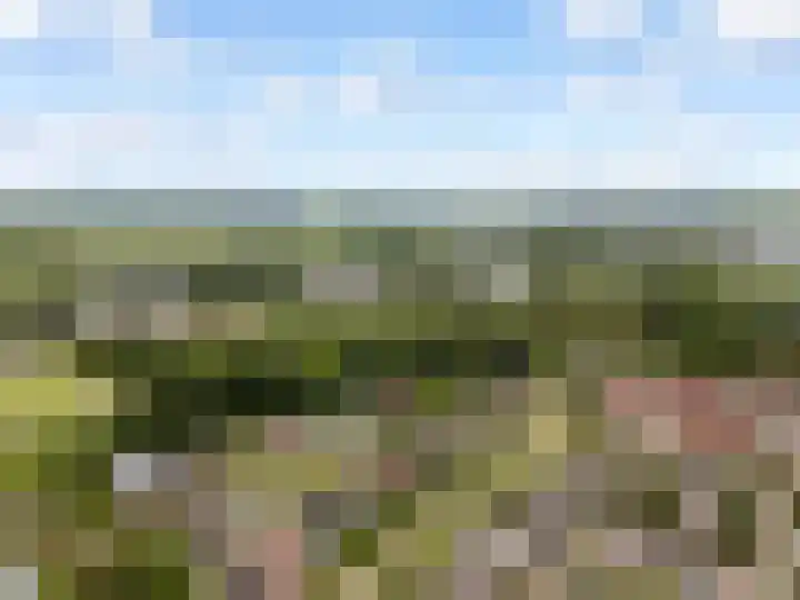Stuurboord 7 Wijk bij Duurstede thumbnail 67