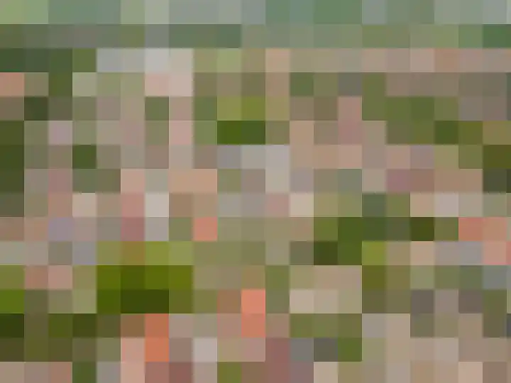 Stuurboord 7 Wijk bij Duurstede thumbnail 68