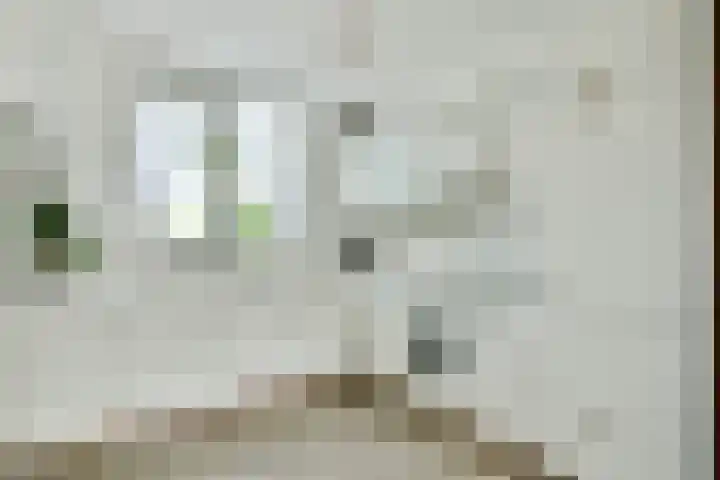 Stuurboord 74 Rijsenhout thumbnail 10