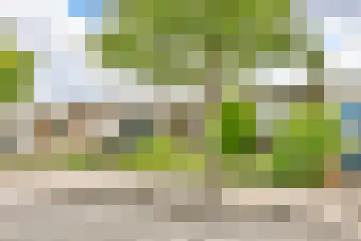 Stuurboord 74 Rijsenhout thumbnail 25
