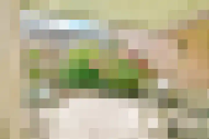 Stuurboord 74 Rijsenhout thumbnail 26