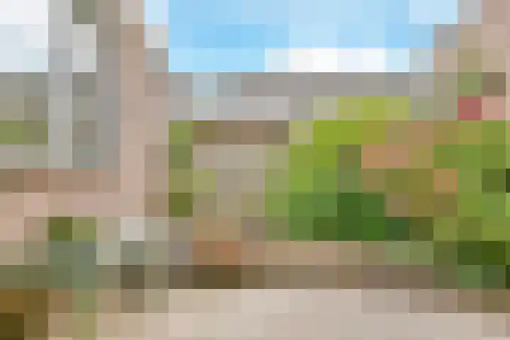 Stuurboord 74 Rijsenhout thumbnail 27