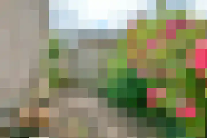 Stuurboord 74 Rijsenhout thumbnail 29