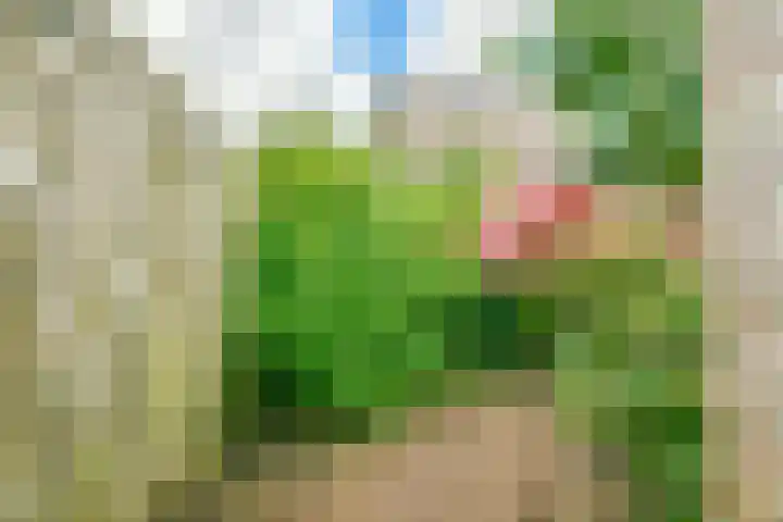 Stuurboord 74 Rijsenhout thumbnail 30