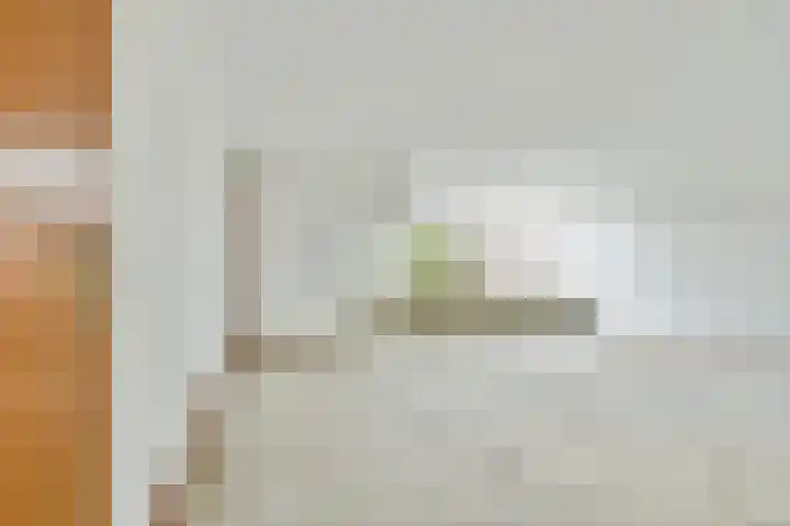 Stuurboord 74 Rijsenhout thumbnail 5